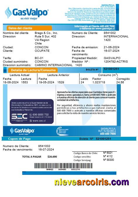 Chile GasValpo business utility bill